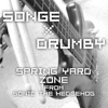 Spring Yard Zone (from Sonic the Hedgehog) - Single