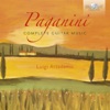 Paganini: Complete Guitar Music, 2013