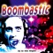 Boombastic - D.J. In the Night lyrics