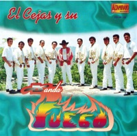 Tu Lo Quisiste - El Cejas y Su Banda Fuego