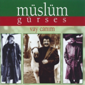 Vay Canım Vay - Müslüm Gürses