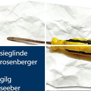 Wie wir ticken? Die Einstellung der ÖsterreicherInnen zu Demokratie, Politik und Migration