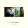 The Slow Wonder artwork