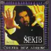 Sekib Mujanovic - Sinoc Kad Si Prosla