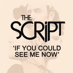 If You Could See Me Now - Single - The Script