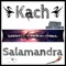 Salamandra - Kach lyrics