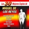 Fiesta Gitana - Miguel de los Reyes lyrics