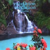 Relaxation & Meditation, Vol. 1