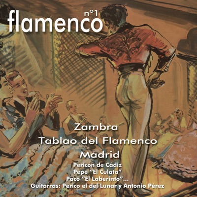 Flamenco No. 1