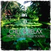 Chill & Relax (Finest Chill and Lounge Sounds)