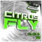 Win - Citrusfly lyrics