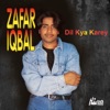 Zafar Iqbal - Jane Kyon Log