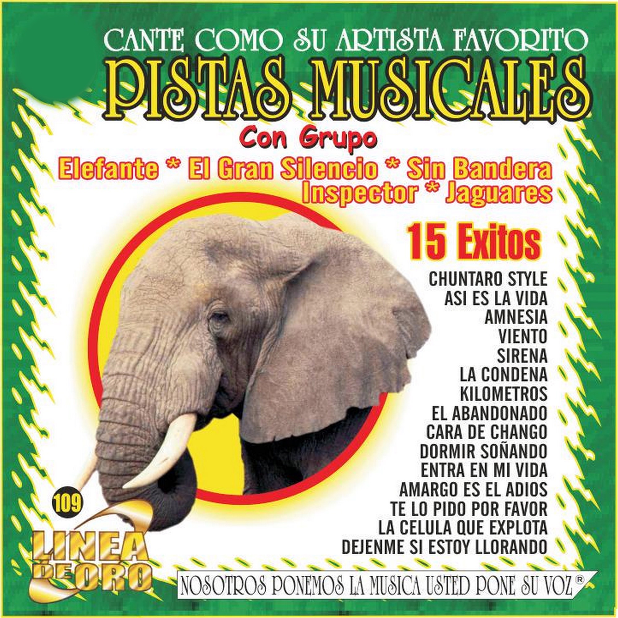 Pistas Musicales Con Grupo Elefante - Sin Bandera - El Gran Silencio - Inspector - Jaguares