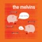 You've Never Been Right - Melvins lyrics