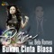 Bukan Cinta Biasa (feat. Bebi Romeo) - Rossa lyrics