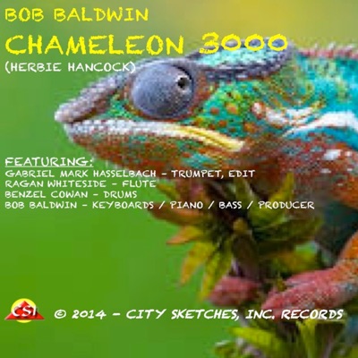 Chameleon 3000 (feat. Ragan Whiteside & Gabriel Mark Hasselbach) - Single