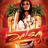 I Love Salsa (20 Tracks of Pure Salsa Music) artwork