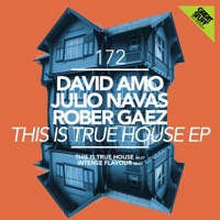 This Is True House - Single - David Amo, Julio Navas & Rober Gaez
