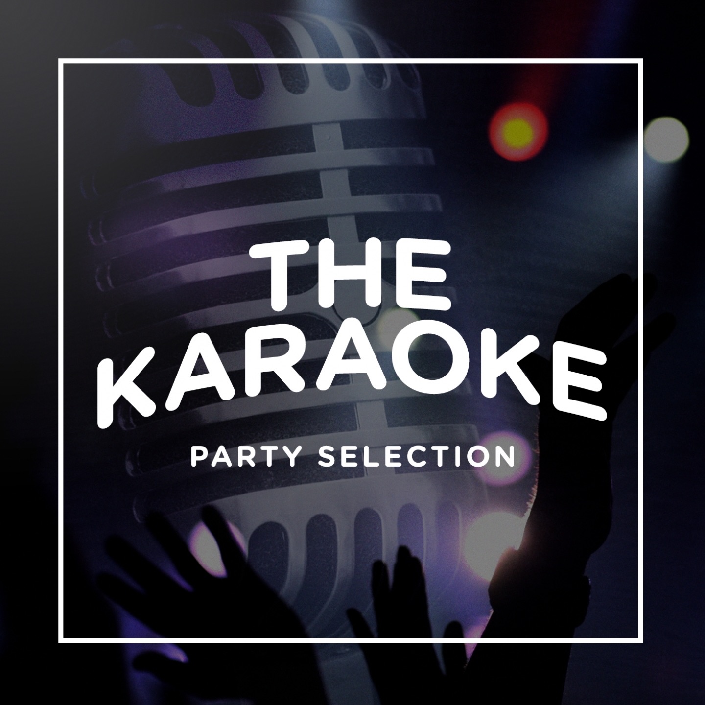 Karaoke Party Selection, Vol. 19