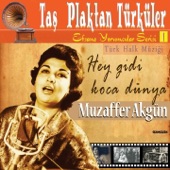 Ala Geyik Gibi Boyun Sallarsın (Adana) artwork