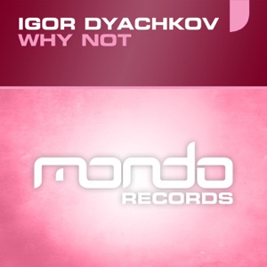 Why Not - Single