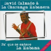 David Calzado y La Charanga Habanera - Homenaje a los Caballeros