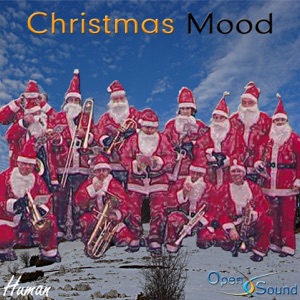 Christmas Mood (Human)