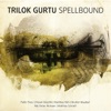 Paolo Fresu Cosmic Roundabout / Brown Rice (feat. Paolo Fresu) Spellbound