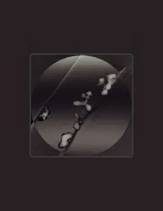 Écoutez Guy Harries, regardez des vidéoclips, lisez la biographie, consultez les dates de tournée et plus encore !