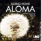 Going Home (Giorgio Bassetti Remix) - Aloma lyrics