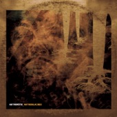 Transponder artwork