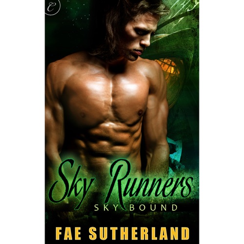 Sky Runners: Skybound, Book Two (Unabridged) cover