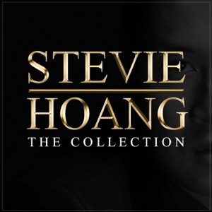 Stevie Hoang - So in Love - Line Dance Musik