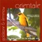 Sangit Alamkara Suite: I. Alaap - Anthony Goldstone & Caroline Clemmow lyrics