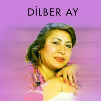 Yaralı Gönlüm - Dilber Ay