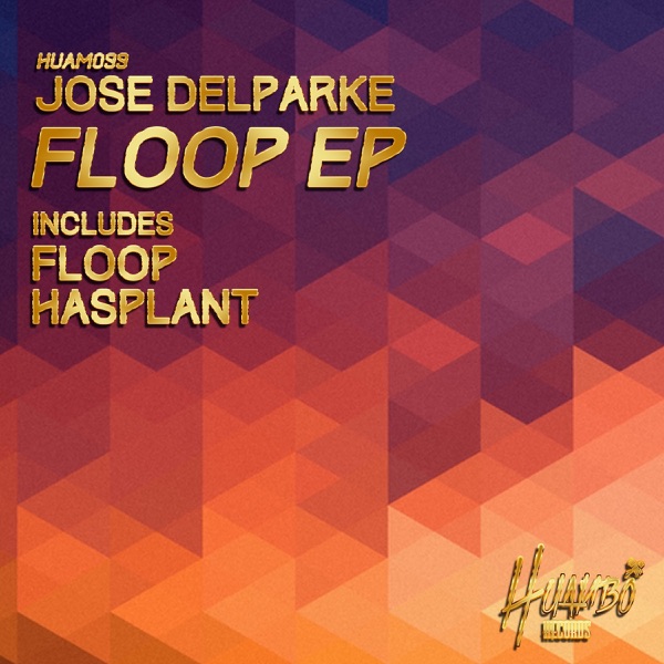 Floop EP - Single