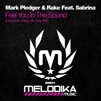 Feel You in the Sound (Energy Mix) [feat. Sabrina] by Mark Pledger & Rake song reviws