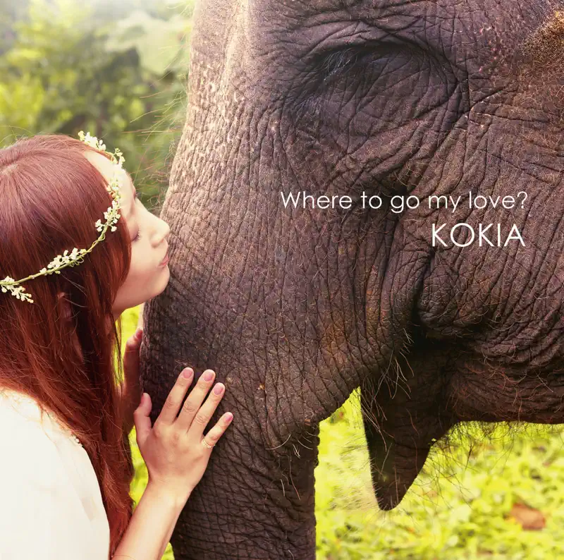 KOKIA - Where To Go My Love? (2013) [iTunes Plus AAC M4A]-新房子