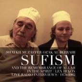 In the Spirit: Sufism and the Remembrance of Allah (Live Radio Interviews 1978-82) artwork