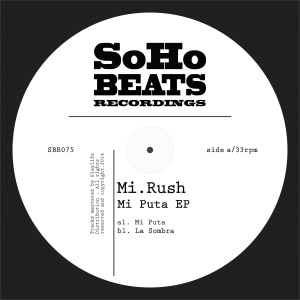 Mi Puta - Single