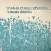 Vitamin String Quartet - Gobbledigook