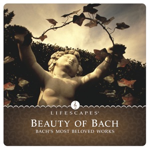 Beauty of Bach