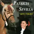 Arte Torero