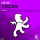 Voices Single