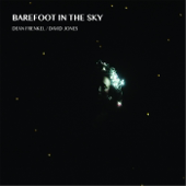 Barefoot in the Sky - Dean Frenkel & David Jones