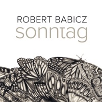 Robert Babicz - Sonntag (Rework)