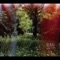Abire (feat. Hanaregumi & Masakatsu Takagi) - Olaibi lyrics