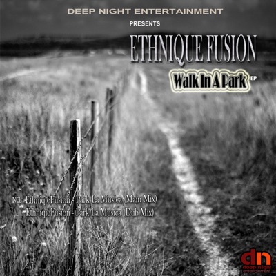 Walk in a Park - Single