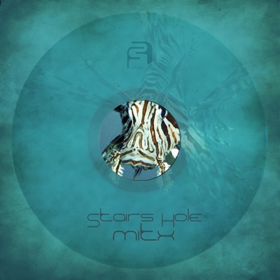 Stairs Hole - Single
