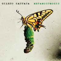 Metamorphosis - Gileno Santana